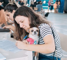 Castra + Limeira: inscrições presenciais acontecem nesta terça-feira (18)