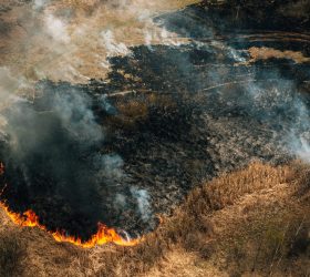 Santa Bárbara d’Oeste inicia operação para prevenir incêndios