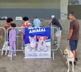 Parque Cidade em Limeira recebe feira de adoção de cães e gatos neste sábado