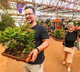 Foto: Divulgação/Prefeitura de Campinas