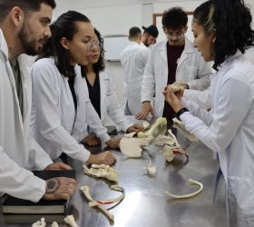 Foto: Divulgação/FAM