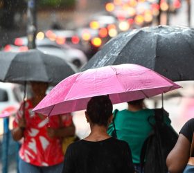 Foto: Prefeitura de Campinas