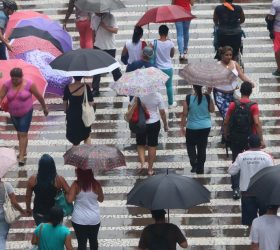 Foto: Governo de SP
