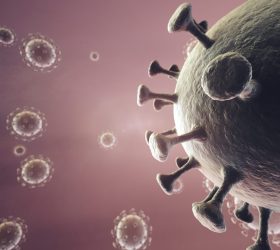 Veja o que se sabe sobre o Nipah, vírus que pode causar nova pandemia