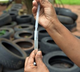 Mutirão contra a dengue identifica 105 criadouros na região da Vila Queiroz em Limeira