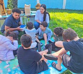 Alunos de Limeira com Altas Habilidades participam de atividades com abelhas-sem-ferrão