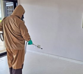 Limeira sedia treinamento regional sobre nova tecnologia de combate ao mosquito da dengue