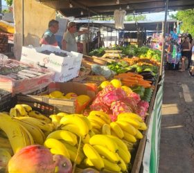 Foto: Divulgação/Prefeitura de Limeira