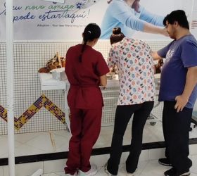 Foto: Divulgação/Prefeitura de Limeira