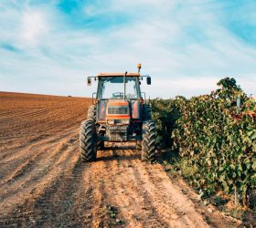 Limeira incentiva o protagonismo feminino no agronegócio com nova edição do “Semeadoras do Agro”
