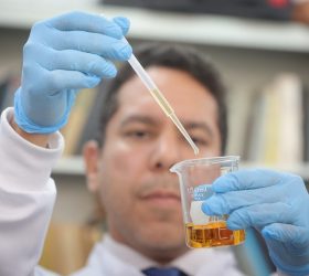 Divulgação/Governo de SP