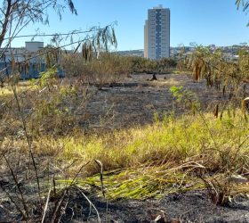 Foto: Divulgação/Prefeitura de Hortolândia