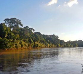 Rio Piracicaba. Foto: Governo de SP
