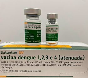 Agentes de saúde recebem primeiras doses da nova vacina contra a dengue em Limeira